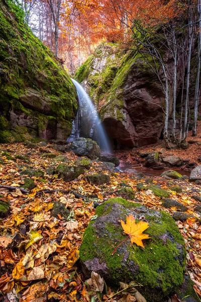 Waterfall in autumn forest — Stock Photo, Image
