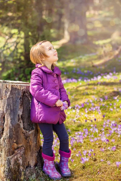 Çiğdemler kızla — Stok fotoğraf