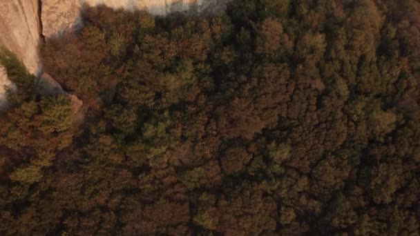 バックパック付きの若い女性ハイカーの上に空飛ぶ 日没時に秋の森に囲まれた見事な岩の形成の端に立って — ストック動画