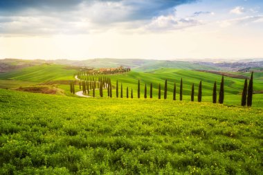 Toskana 'da yeşil bahar