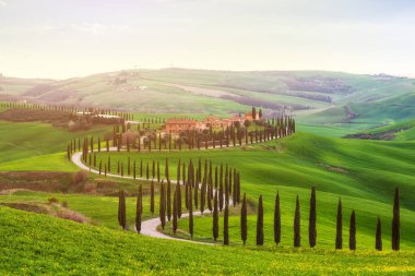 Toskana 'da yeşil bahar