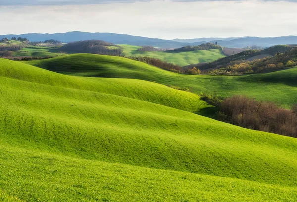 Campi primaverili in Toscana — Foto Stock