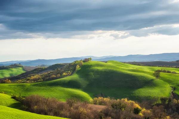 Campos de primavera en Toscana — Foto de Stock