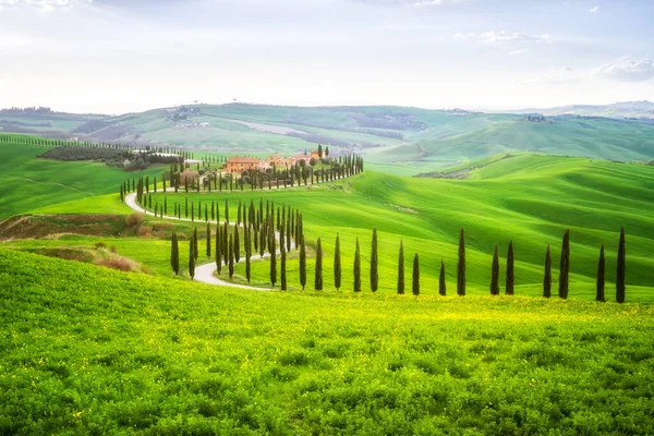 Toskana 'da yeşil bahar