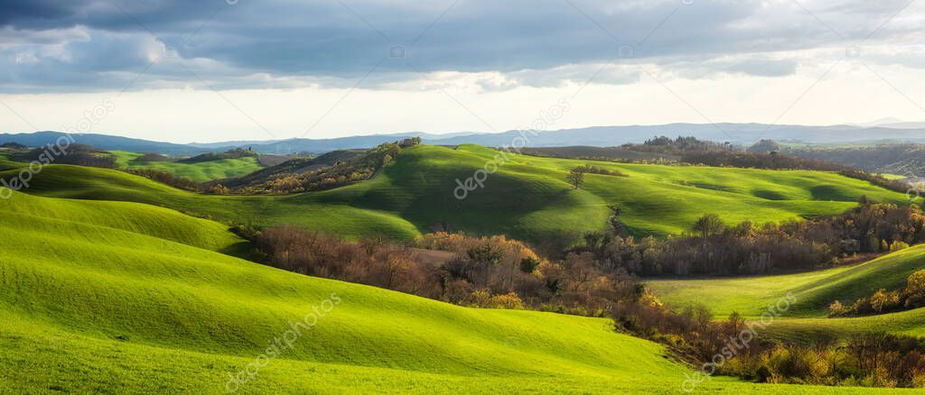 Spring fields in Tuscany