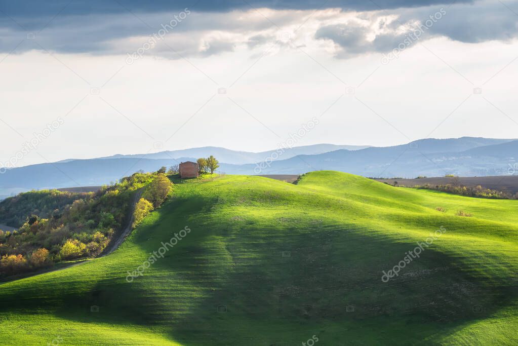 Spring fields in Tuscany