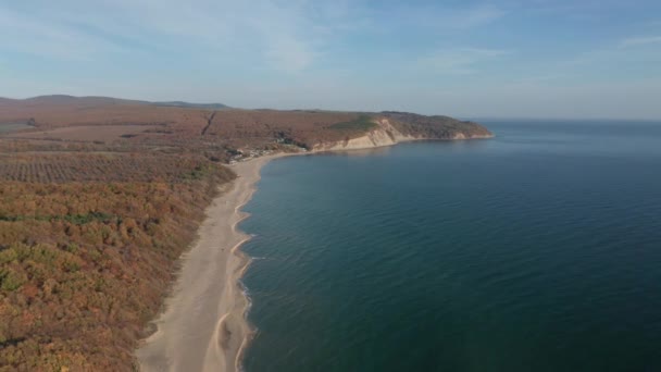 Dron Let Přes Krásné Divoké Písečné Pláže Tyrkysově Zelené Moře — Stock video