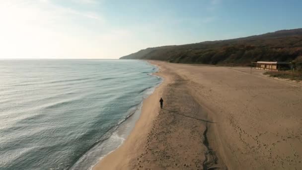 Drone Flygning Ovanför Man Promenader Längs Vackra Oändliga Vilda Sandstrand — Stockvideo