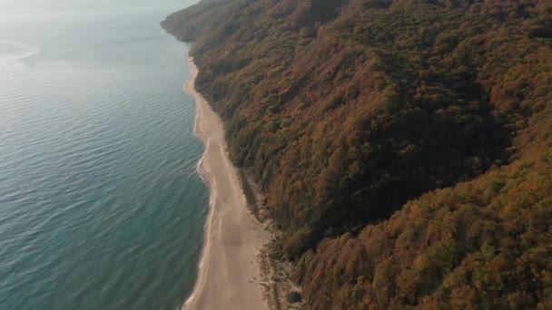 Vuelo Avión Tripulado Sobre Hermosa Playa Arena Salvaje Sin Fin — Vídeo de stock