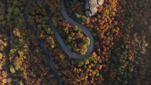 Lot Dronem Nad Kolorowym Jesiennym Lasem Zakrzywioną Wiejską Drogą — Wideo stockowe