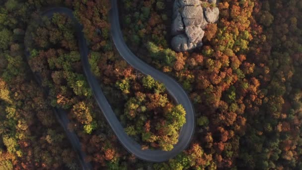 Voo Drone Acima Floresta Outono Colorida Com Estrada Rural Curvilínea — Vídeo de Stock