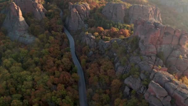 Drone Flygning Ovanför Färgglada Höstskog Med Landsväg Och Röda Stenar — Stockvideo