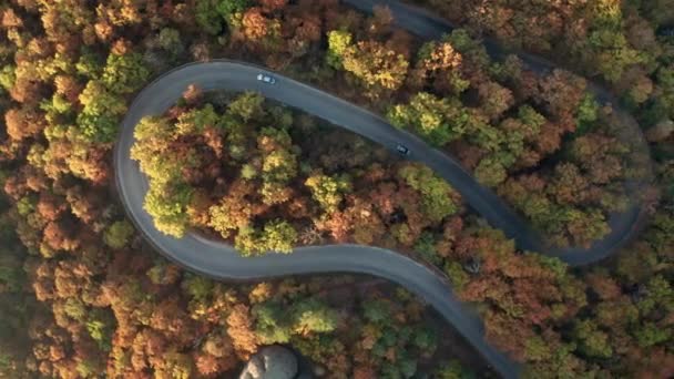 Vuelo Drone Sobre Colorido Bosque Otoñal Con Curvas Carretera Coches — Vídeo de stock