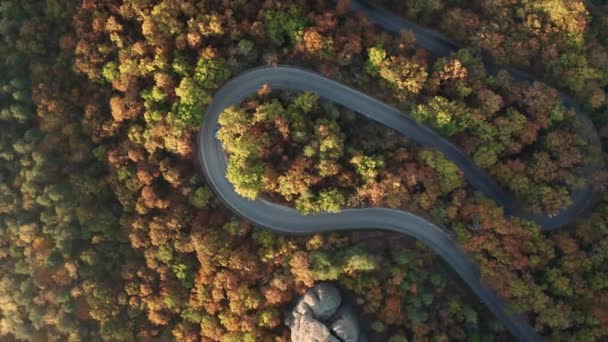 在五彩缤纷的秋天的森林上 有弯曲的乡间小路和汽车 无人驾驶飞机在空中盘旋 — 图库视频影像