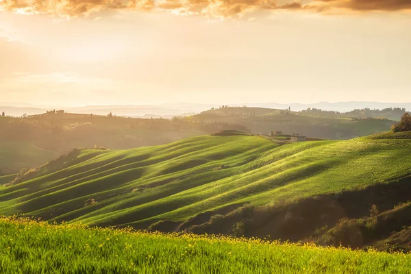Rodando colinas de Toscana en la hora dorada — Foto de Stock