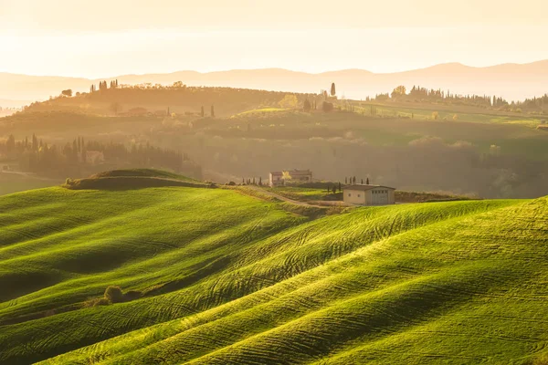 Rolling Tuscany hills in the golden hour