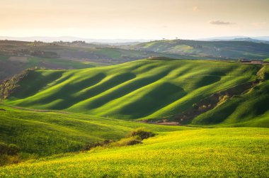 Altından saatte Tuscany tepeleri yuvarlanıyor