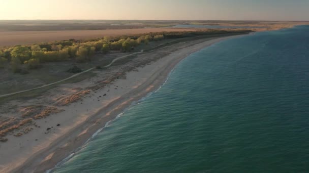 日没前に砂丘のある美しい空の無限の野生のビーチを上空を飛ぶ — ストック動画