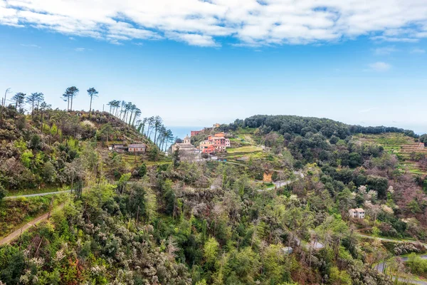 Belle Vue Avec Une Partie Côte Ligure Dans Région Des — Photo