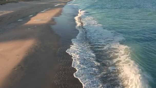 Flyg Över Vackra Tomma Oändliga Vilda Stranden Med Sanddyner Före — Stockvideo