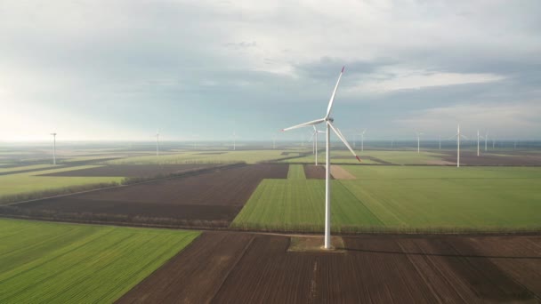 Flyg Runt Vindkraftverk Över Vårens Jordbruksfält Ren Och Förnybar Vindkraft — Stockvideo