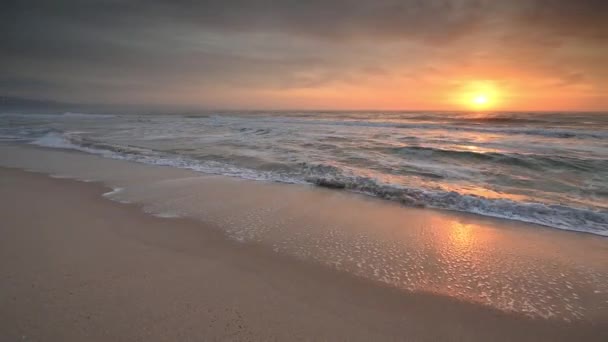 Film Kolorowym Zbliżeniem Widok Piaszczystej Plaży Wschodzie Słońca — Wideo stockowe