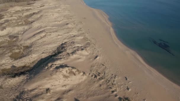 保加利亚阿库蒂诺保护区的黑海海岸 空中视频覆盖美丽的野生海滩 沙滩上有沙丘 碧绿的大海清澈清澈 人们牵着狗沿着海滩散步 — 图库视频影像