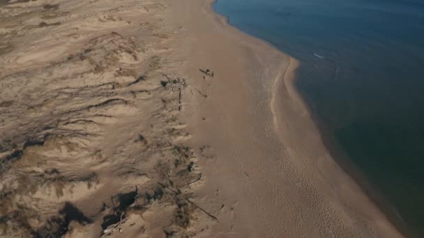 Flygvideo Över Vacker Vild Strand Med Sanddyner Och Klart Havsvatten — Stockvideo