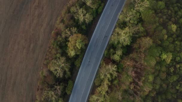 Lot Drone Nad Kolorowym Jesiennym Lasem Pustą Drogą Bez Samochodów — Wideo stockowe