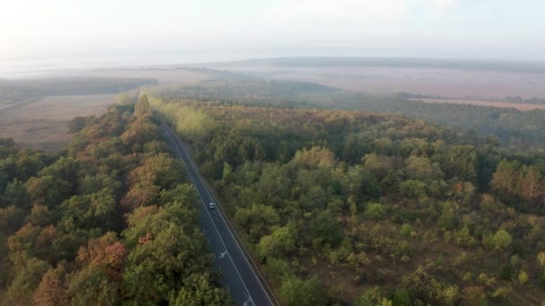 Voo Drone Sobre Floresta Outono Colorido Com Estrada Carros Luz — Vídeo de Stock