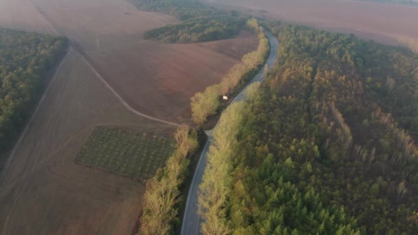 Drohnenflug Über Bunten Herbstwald Mit Straße Und Autos Schönen Morgenlicht — Stockvideo
