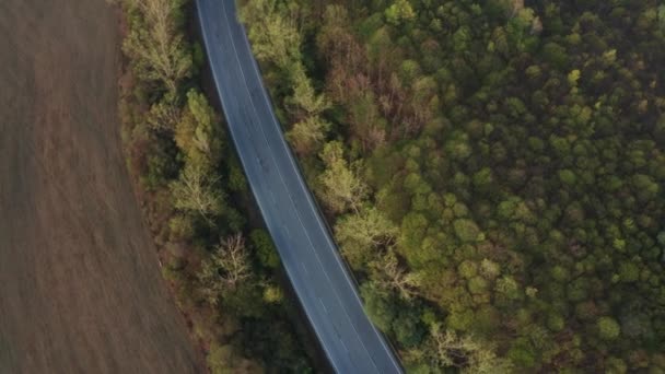 美しい朝の光の中で道路や車でカラフルな秋の森の上にドローン飛行 トップビューを閉じます — ストック動画