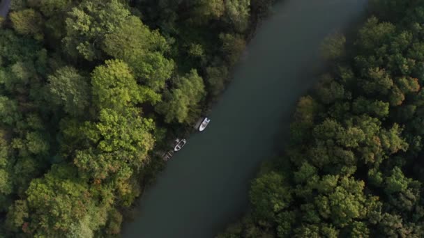 Vuelo Drones Sobre Espeso Bosque Verde Río Que Corre Través — Vídeos de Stock