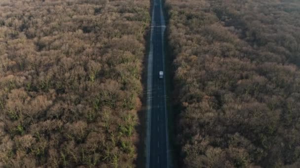 Vuelo Drones Sobre Espeso Bosque Otoñal Con Carretera Coches — Vídeos de Stock