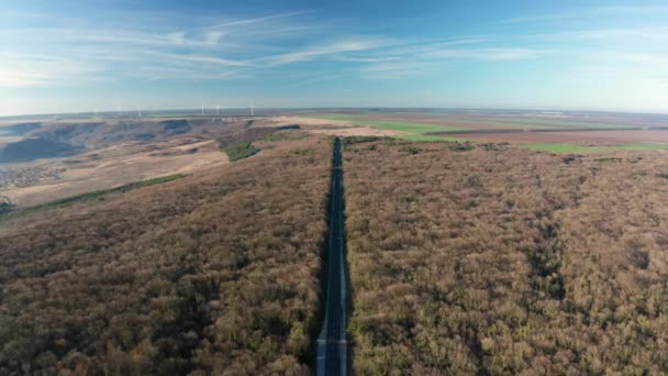 Vol Par Drone Dessus Une Épaisse Forêt Automne Avec Route — Video