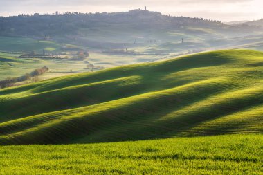 Yeşil yuvarlanan tepeleri ve Tuscany 'nin göbeğinde sabah sisi olan muhteşem bahar manzarası.