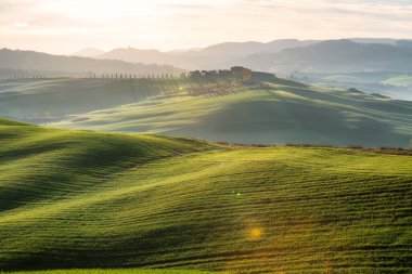 Yeşil yuvarlanan tepeleri ve Tuscany 'nin göbeğinde sabah sisi olan muhteşem bahar manzarası.