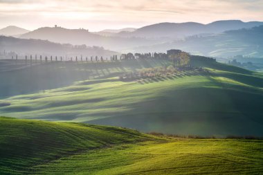 Yeşil yuvarlanan tepeleri ve Tuscany 'nin göbeğinde sabah sisi olan muhteşem bahar manzarası.