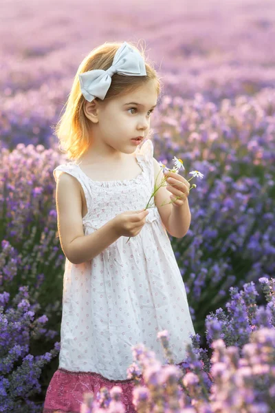 Retrato Una Niña Bonita Campo Lavanda Completamente Florecido —  Fotos de Stock