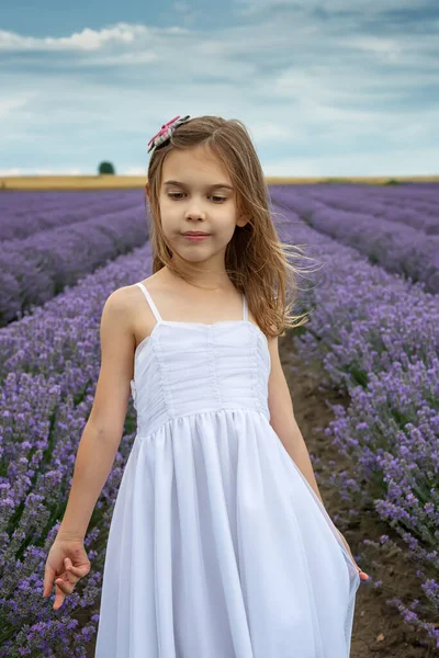 Portret Van Een Klein Meisje Een Bloeiend Lavendelveld — Stockfoto