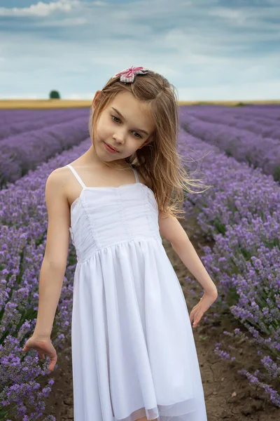 Portret Van Een Klein Meisje Een Bloeiend Lavendelveld — Stockfoto