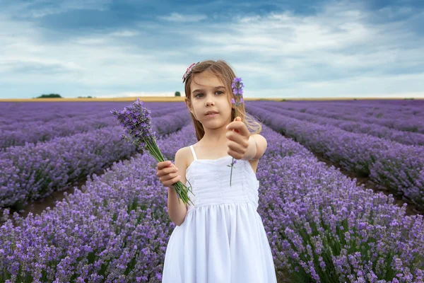 一个小女孩站在盛开的薰衣草地里 拿着一束薰衣草的画像 — 图库照片