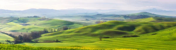 Increíble Paisaje Panorámico Toscana Con Verdes Colinas Onduladas Mañana Soleada — Foto de Stock