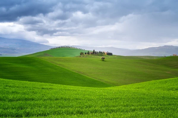 Increíble Paisaje Primavera Con Colinas Verdes Casas Campo Corazón Toscana — Foto de Stock