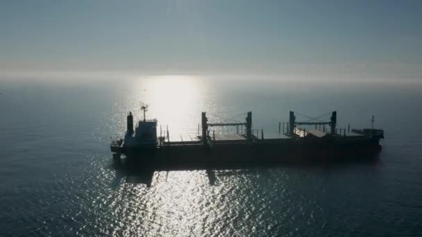 Egy Drónrepülés Egy Üres Konténerhajó Felett Tengerbe Reggeli Ködben Fekete — Stock videók