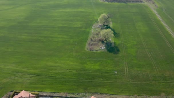 Drone Volo Sopra Campo Primavera Verde Piccolo Villaggio — Video Stock