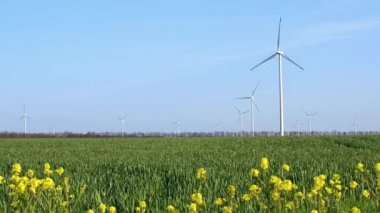 Bahar tarlaları boyunca rüzgar türbinlerinin etrafında uçan hava. Temiz ve Yenilenebilir Rüzgâr Güç Çiftliği hareket halinde. Yeşil enerji, sürdürülebilir alternatif elektrik, kirlilik ortamı yok.