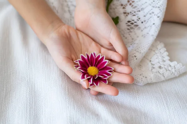 Zblízka Pohled Krásné Fialové Sedmikrásky Květina Malé Holčičce Ruce Rozostřené — Stock fotografie