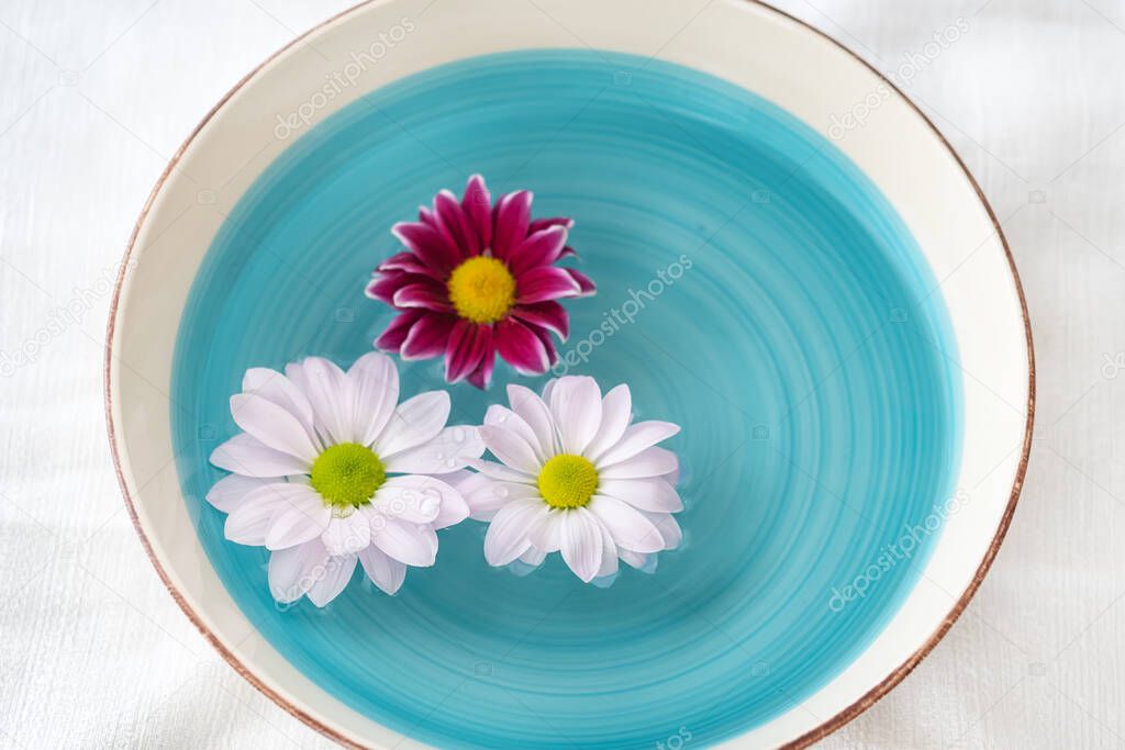 Flower decoration with white and purple daisies, floating in a vintage bowl 