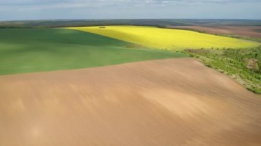 Sarı ve yeşil tarlaları olan, kolza ve buğdaylı güzel kırsal arazili hava aracı manzarası.
